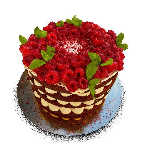 Cake Eating Sticker By K Gif