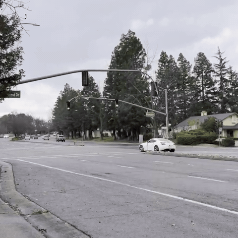 Silchukgif GIF