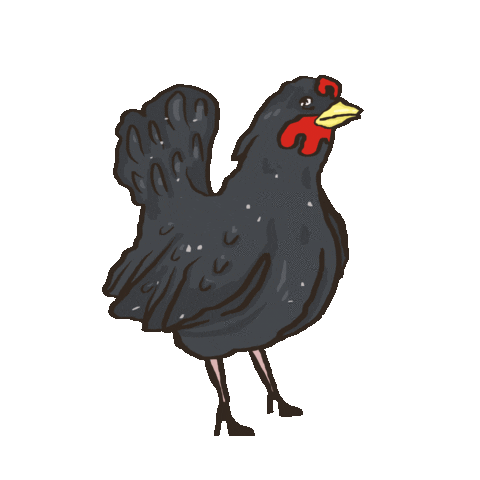 Farm Animal Chicken Sticker