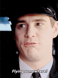 Premiere Mutt Cutts Gif By Dumb And Dumber To Find Share On Giphy Premiere Mutt Cutts Gif By Dumb And Dumber To Find Share On Giphy