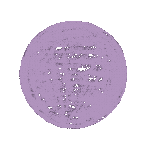 Zwergpinguin Sticker