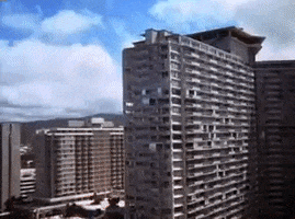 Hawaii 5-0 GIF