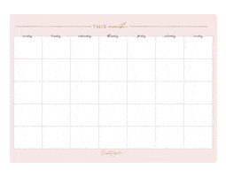 Planner Planning Sticker by Steph Pase