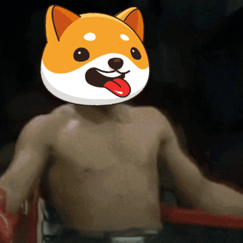 Money Crypto GIF by Baby Doge Coin