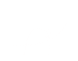 Amity Studio Sticker