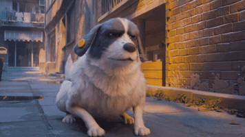 Excited Jump GIF by Bank Of Georgia