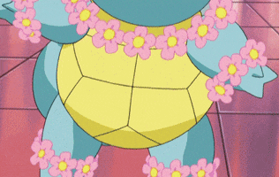 Pokémon gif. Squirtle, wearing flowers on his head and around his neck and wrists, winks.