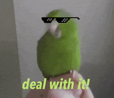 Bird Deal With It GIF by MOODMAN