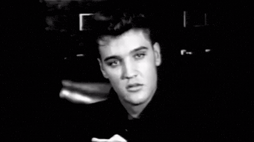 Elvis GIF