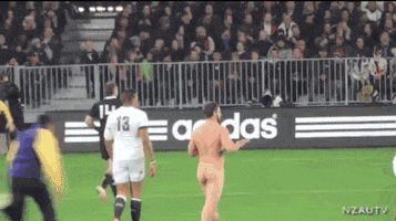 idiot rugby nudity rugby union streakers GIF