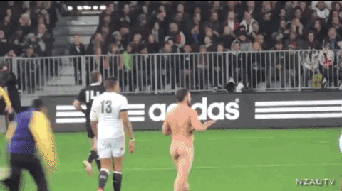  rugby idiot nudity rugby union streakers GIF