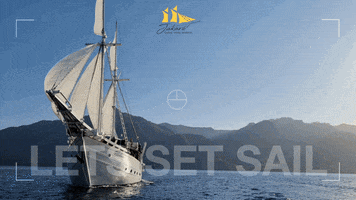 Jakare Liveaboard GIF