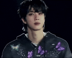 Concert Jin GIF