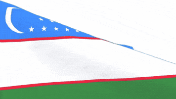 Flag Turk GIF