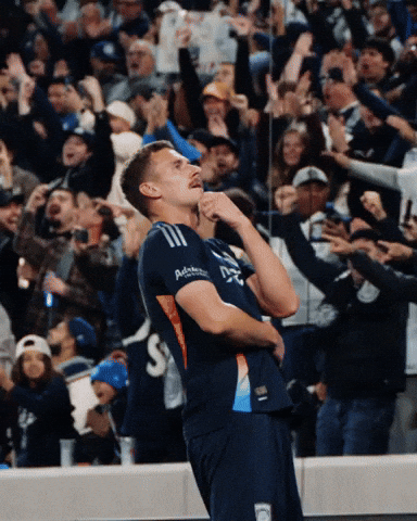 Sdfc GIF by San Diego FC
