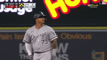 Chicago White Sox GIF