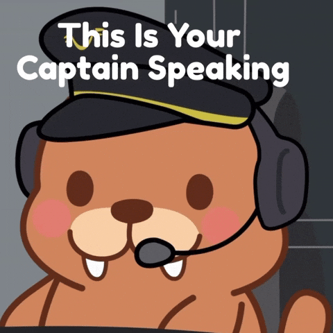This Is Your Captain Speaking GIF by FROSTYS