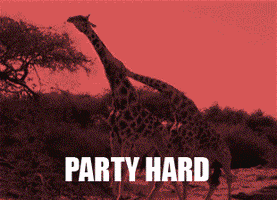 200.gif?cid=790b76115cf9ccce5035506763d5d372&rid=200.gif