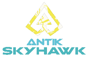 Rollerskating Sticker by Antik Skates