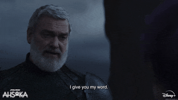 I Give You My Word GIF by Star Wars