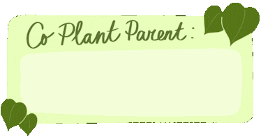 Plants Monstera Sticker