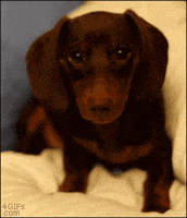 200.gif?cid=f0bdee70xur2nhrsurtp2gu1chstjoultw9rsm25s8kgddgm&rid=200.gif&ct=g