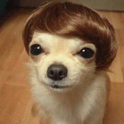 Nct Dream Hair GIF