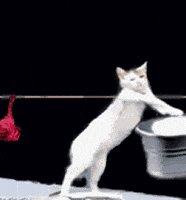 wash laundry GIF wash laundry GIF