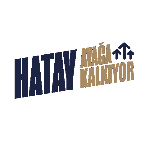 Hatayayağakalkıyor Sticker by Hataybsb