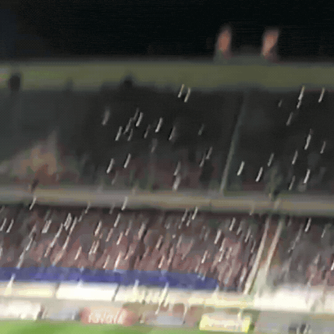 Sadeghraad GIF