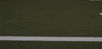 GIF by Lafayette Leopards