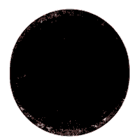 bbc 1xtra Sticker by BBC Radio 1’s Biggest Weekend