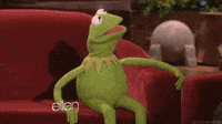 Kermit-falling GIFs - Get the best GIF on GIPHY