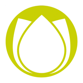 Flower Tulip Sticker