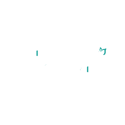 Lizup Sticker by Liz Up Professional