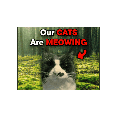 Catthefart Sticker