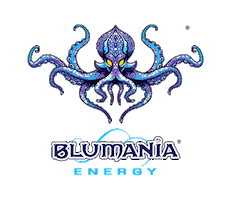 Logo Texas Sticker by BLUMANIA Energy