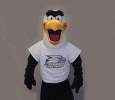 Number 1 Clap GIF by Georgia Southern University