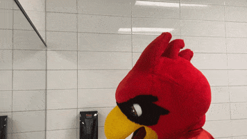 Wash Hands College GIF by Lamar University