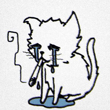Sad Cat GIF
