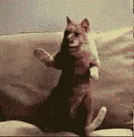 https://media1.giphy.com/media/oQOunIN8Qju6I/200.gif?cid=e1bb72ff62rioram41vki8kkdsvnrw2o4qcxvb2vt8qb1wa1&rid=200.gif