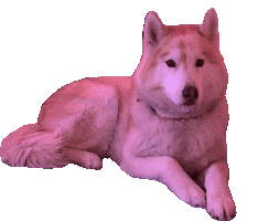 Sticker by Appartements_Andy