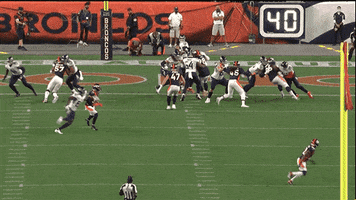 Stiffarm GIF