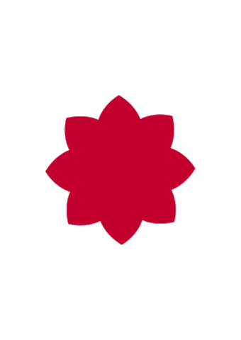 paulaschoicesg Sticker