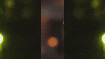 200.gif?cid=fc005b0803c9790740626b8f50d50c4b12031f1eb10ca814&rid=200.gif&ct=g