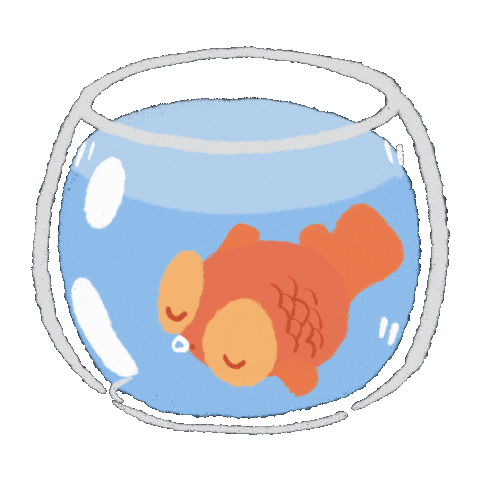 Sleepy Goldfish Sticker