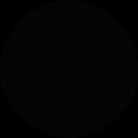 The Slotts GIF