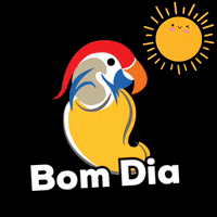 Aracaju-jrsturismo-nordestetotal GIFs - Get the best GIF on GIPHY