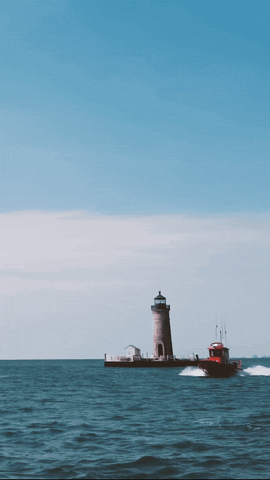 Water Sports Travel GIF by BoatUS