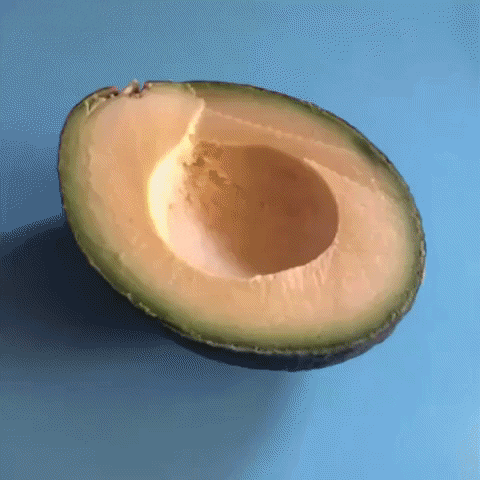 Avocado Toast Avocaco GIF - Find & Share on GIPHY